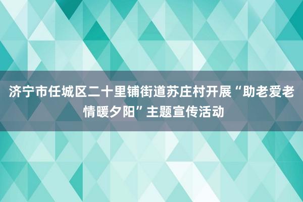 济宁市任城区二十里铺街道苏庄村开展“助老爱老 情暖夕阳”主题宣传活动
