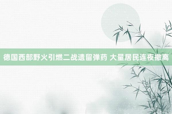 德国西部野火引燃二战遗留弹药 大量居民连夜撤离