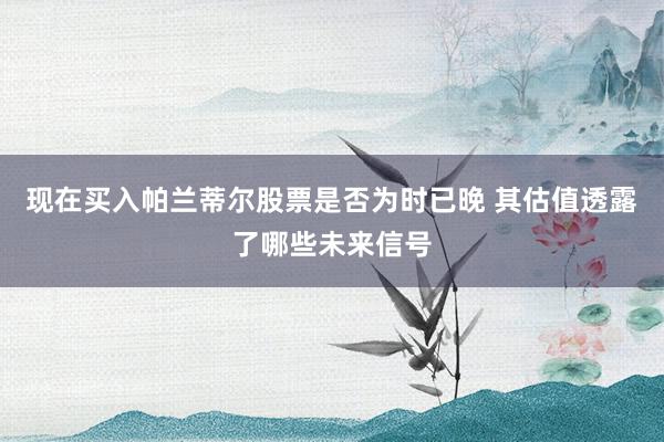 现在买入帕兰蒂尔股票是否为时已晚 其估值透露了哪些未来信号