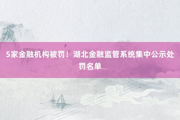 5家金融机构被罚！湖北金融监管系统集中公示处罚名单