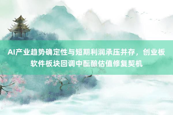 AI产业趋势确定性与短期利润承压并存，创业板软件板块回调中酝酿估值修复契机