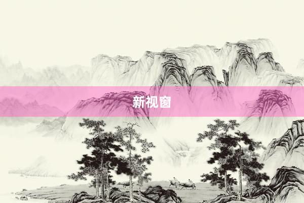 新视窗