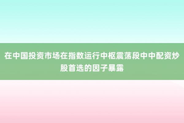 在中国投资市场在指数运行中枢震荡段中中配资炒股首选的因子暴露