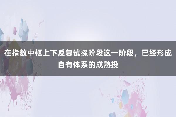 在指数中枢上下反复试探阶段这一阶段，已经形成自有体系的成熟投