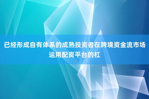 已经形成自有体系的成熟投资者在跨境资金流市场运用配资平台的杠