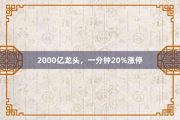 2000亿龙头，一分钟20%涨停