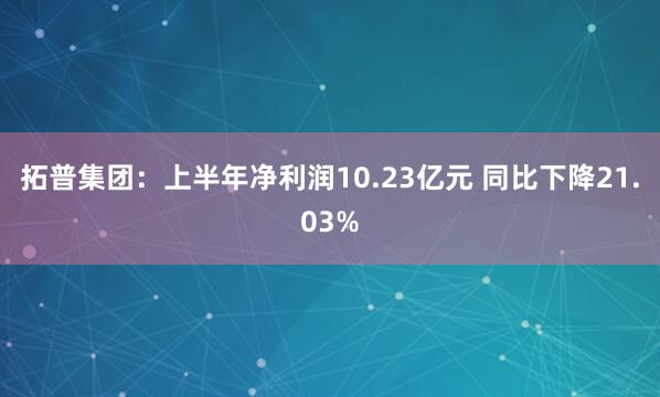 拓普集团：上半年净利润10.23亿元 同比下降21.03%