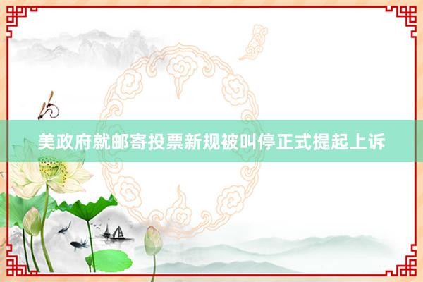 美政府就邮寄投票新规被叫停正式提起上诉
