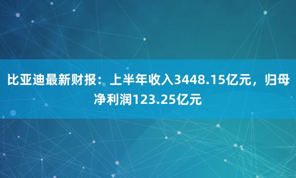 比亚迪最新财报：上半年收入3448.15亿元，归母净利润123.25亿元
