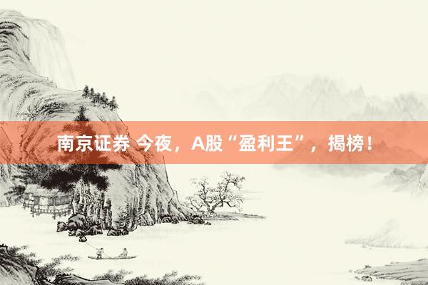 南京证券 今夜，A股“盈利王”，揭榜！