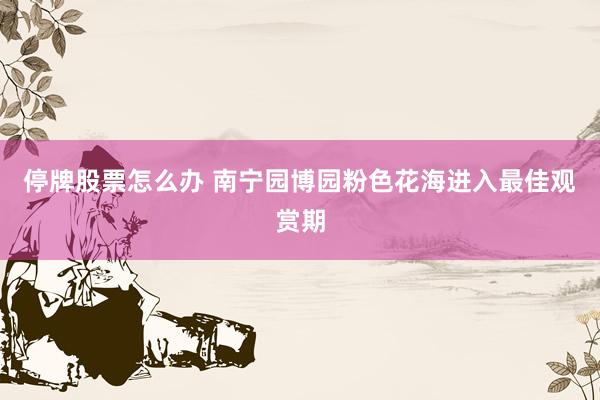 停牌股票怎么办 南宁园博园粉色花海进入最佳观赏期