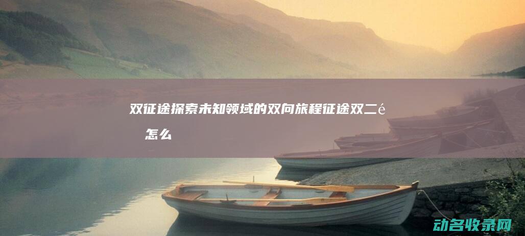 双征途 探索未知领域的双向旅程 (征途双二重怎么用的)