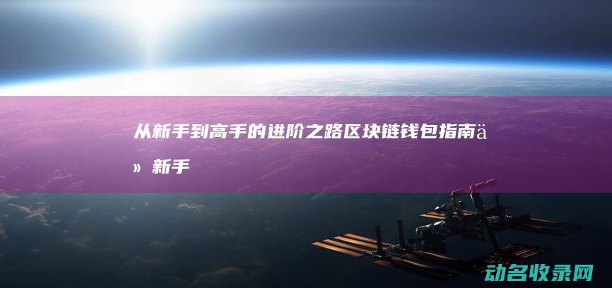从新手到高手的进阶之路 区块链钱包指南 (从新手到高手:口译实战案例30讲)
