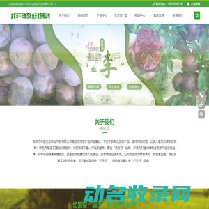龙岩市丰田生态农业开发有限公司